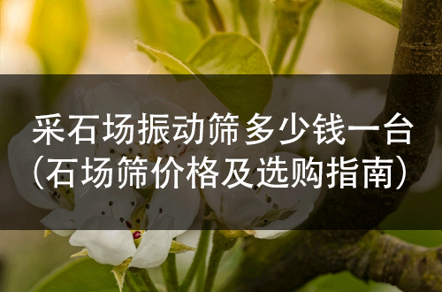 采石場(chǎng)振動(dòng)篩多少錢(qián)一臺(tái)（石場(chǎng)篩價(jià)格及選購(gòu)指南）?