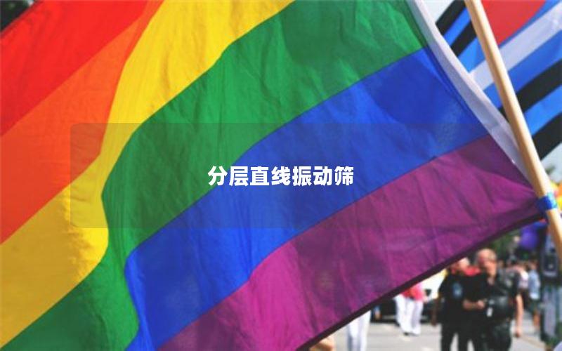 分層直線振動篩