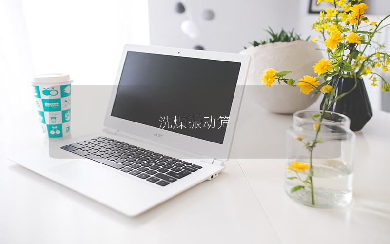 洗煤振動(dòng)篩 洗煤振動(dòng)篩