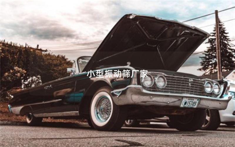 小型振動(dòng)篩廠家