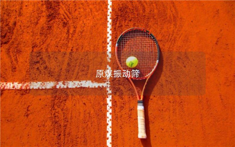 原煤振動(dòng)篩 原煤振動(dòng)篩