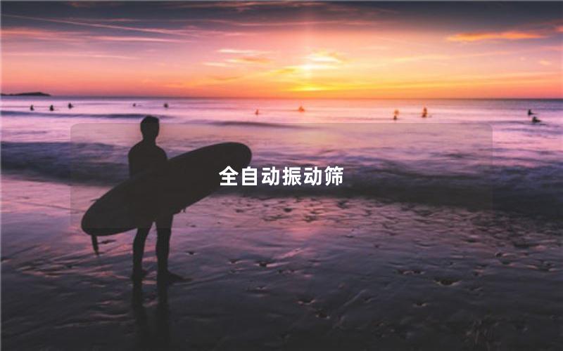 全自動(dòng)振動(dòng)篩 全自動(dòng)振動(dòng)篩