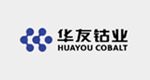 華友鈷業(yè)